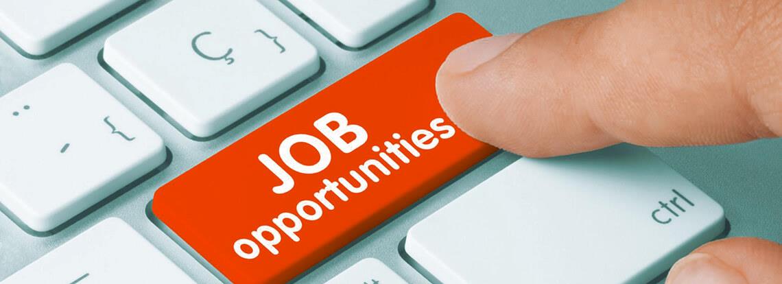 Vacancies at Skamol